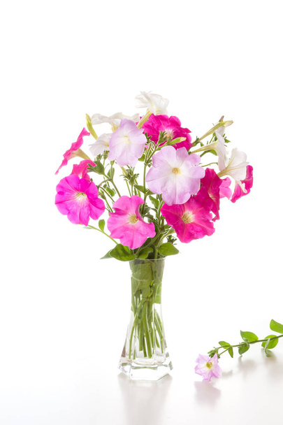 Букет розовых петуний
 - Фото, изображение