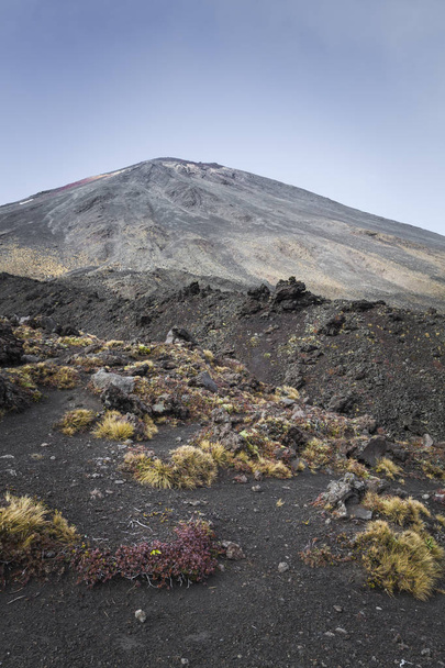 Vulcão Ngauruhoe (2291mt), Parque Nacional Tongariro, Islandia do Norte
 - Foto, Imagem