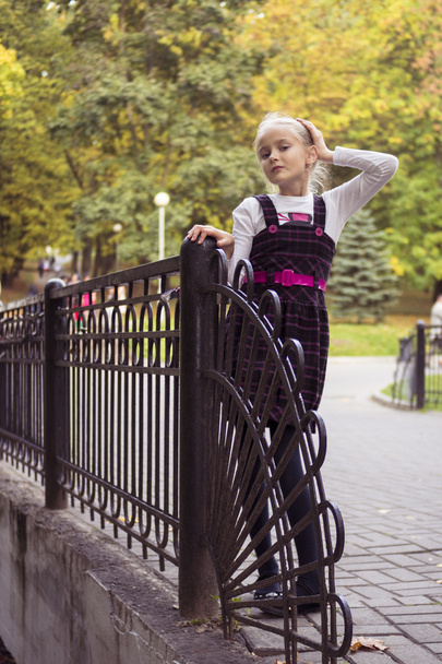 agradable chica al aire libre en otoño
 - Foto, imagen