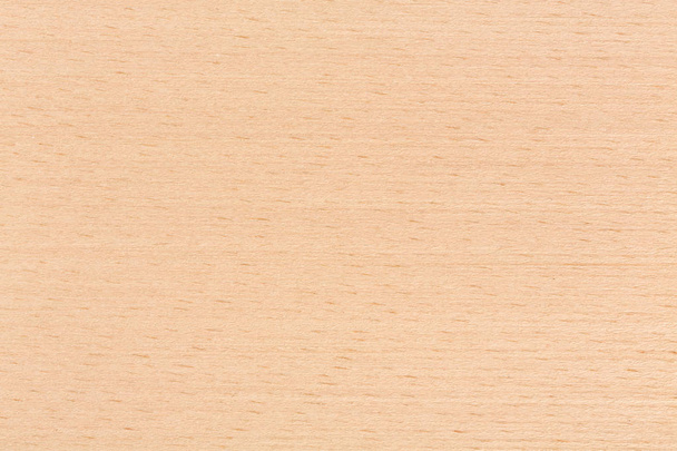 Textura de madeira de faia na macro
. - Foto, Imagem