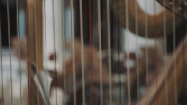 Nahaufnahme von Harfensaite, Notenpult und Cello im Hintergrund - Filmmaterial, Video