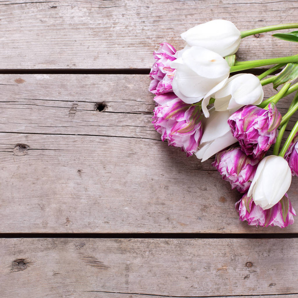Kwiaty fioletowe i białe tulipany  - Zdjęcie, obraz