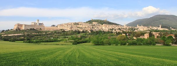 Panorama of Assisi - Zdjęcie, obraz