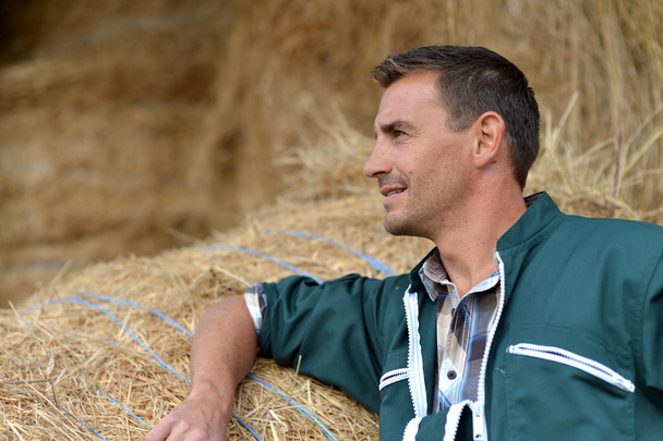 Portrait of smiling farmer standing by haystacks - Φωτογραφία, εικόνα