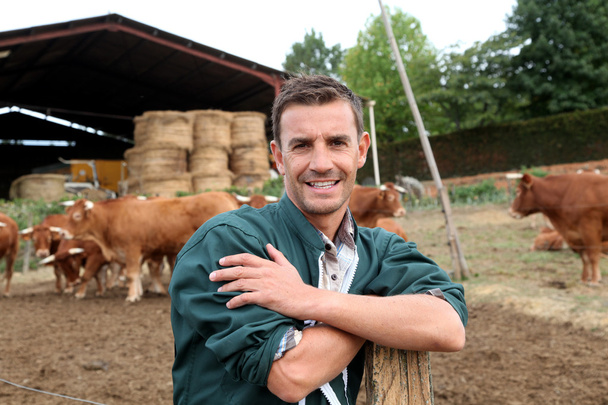 Herdsman standing in front of cattle in farm - Foto, immagini
