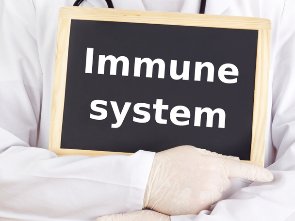 Arzt zeigt Informationen auf Tafel: Immunsystem - Foto, Bild