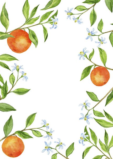 background with fruit tree branches, flowers, leaves and oranges - Photo, image