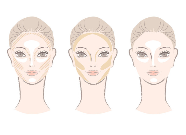 Highlighting and contouring area chart for corrective face shape - Photo, Image