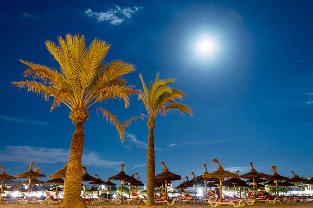 Playa nocturna con tumbonas en Alcudia, Mallorca
. - Foto, Imagen