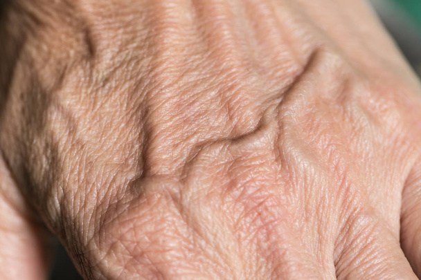 closeup vein at hand of elder human wrinkled skin, white asian women. - 写真・画像