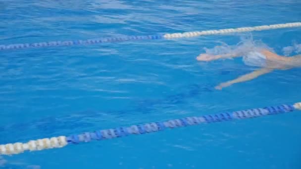 Διαγωνισμός κολύμβησης. Εσωτερική πισίνα - Πλάνα, βίντεο