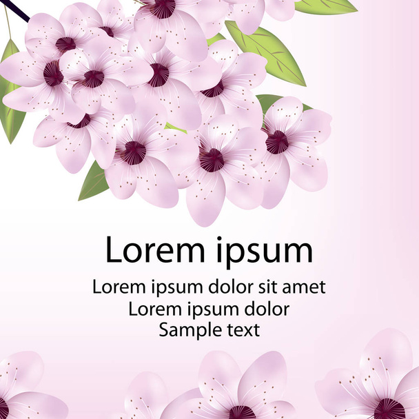 Card with cherry or sakura blossom and text. Vector - Вектор,изображение