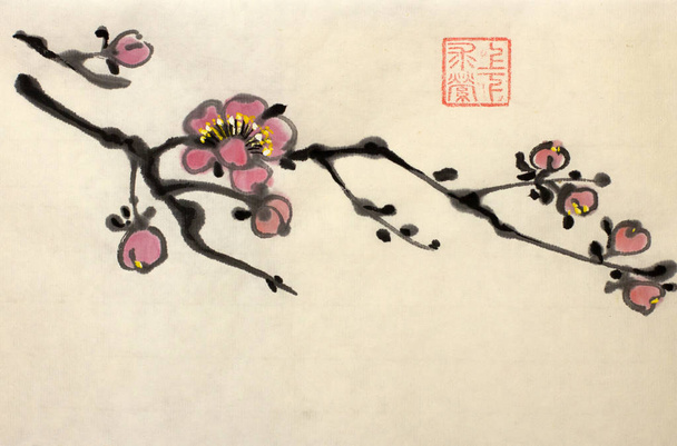 blossoming branch of plum - Foto, Imagem