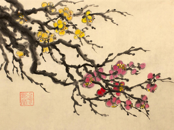 blossoming branch of plum - 写真・画像