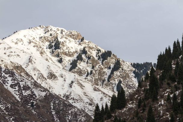 First snow on mountain top - Photo, image