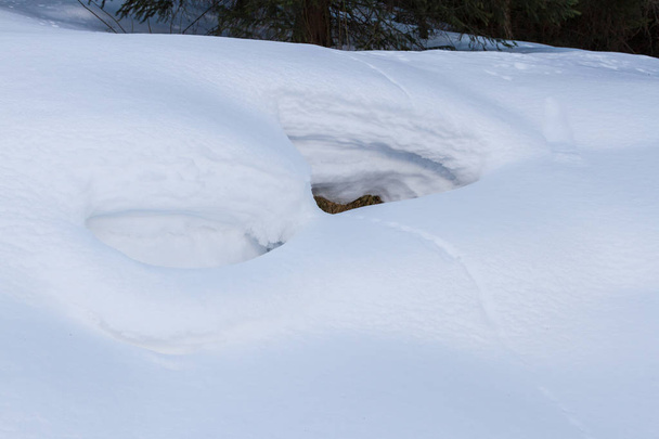 Animal tracks in the white snow stretching into the clearing - Фото, изображение