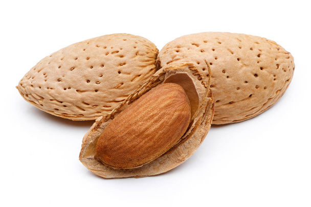 Almond nut isolated - Photo, Image
