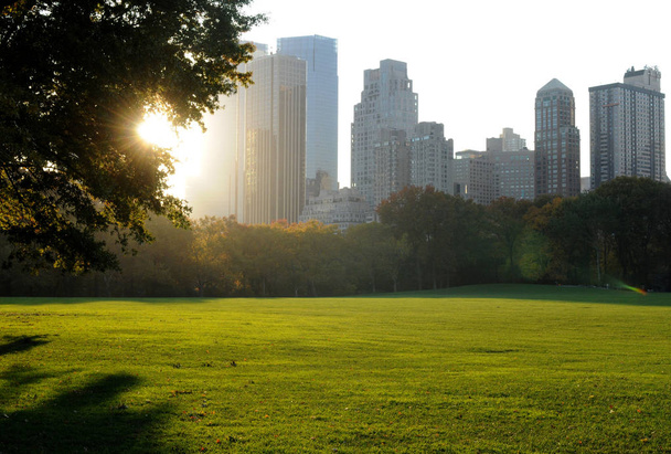 Central Park, New York - Foto, afbeelding