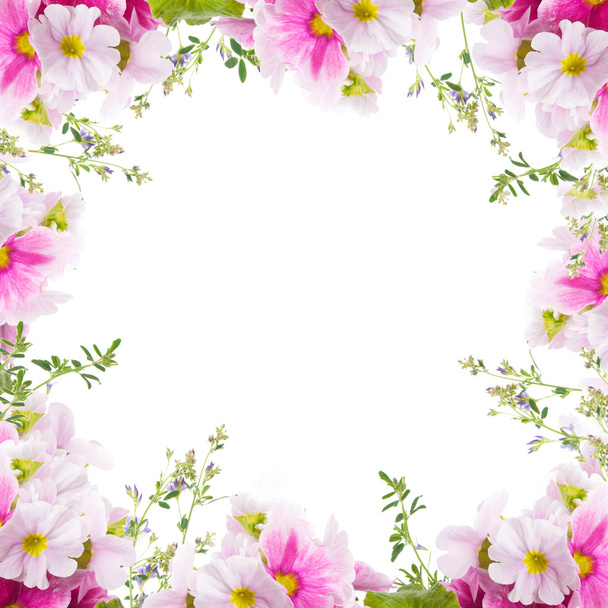 A spring primrose is in a bouquet, floral background - Fotografie, Obrázek
