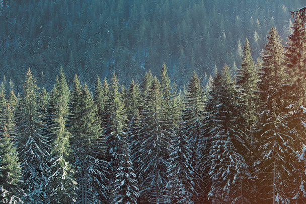 View on winter mountains Tatry, Poland  - Zdjęcie, obraz