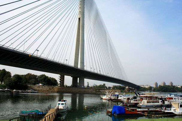 Belgrad, Sırbistan için güzel Ada Köprüsü  - Fotoğraf, Görsel