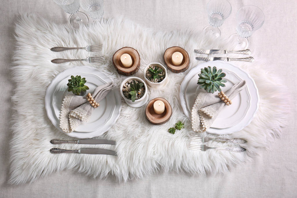 Table served with succulents - Zdjęcie, obraz
