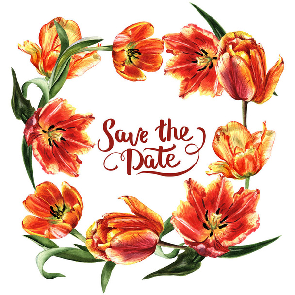 Ghirlanda di fiori di tulipano selvatico in stile acquerello isolato
. - Foto, immagini