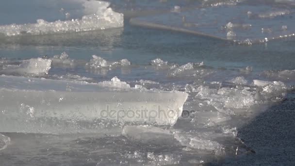 1 月、南部のリゾート地。ドニエプル川の水の氷の状態。Panoramma 垂直配線. - 映像、動画