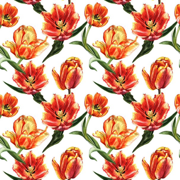 Wildflower tulip flower pattern in a watercolor style isolated. - Valokuva, kuva