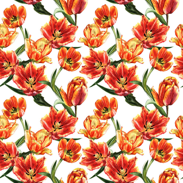 Wildflower tulip flower pattern in a watercolor style isolated. - Foto, immagini
