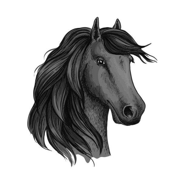 Зарисованная голова мустанга или лошади, жеребца
 - Вектор,изображение