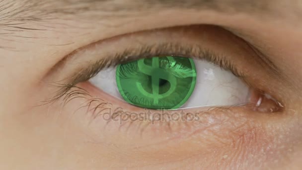 Close-up of eye with computer text overlayed. Zoom in centr. US dollar, USD - Footage, Video