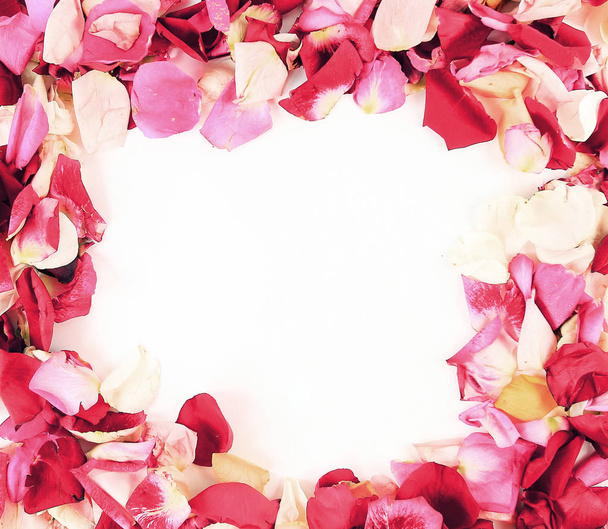 frame with beautiful roses petals on a white background - Foto, afbeelding