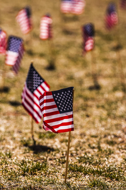 Sok amerikai zászló - Fotó, kép