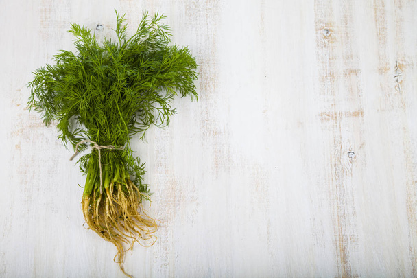 Fresh dill on a light wooden background - 写真・画像