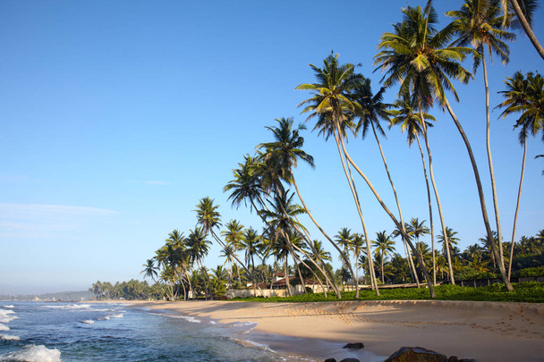 Tropical sand beach with coconut trees, ocean surf and turquoise sky - Photo, Image