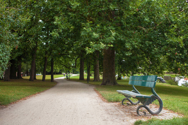 lonely bench in park - Zdjęcie, obraz