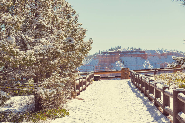 Брайс-Каньон со снегом
 - Фото, изображение