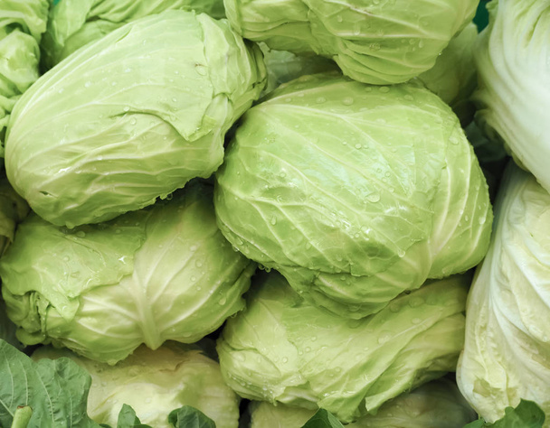 Fresh cabbage for sale - Photo, Image