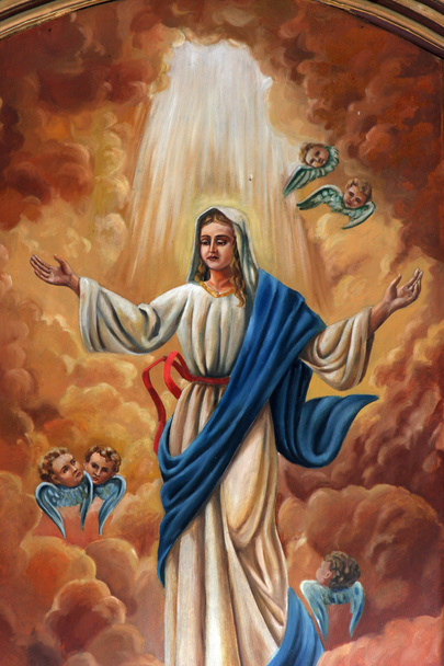 Assumption of the Virgin Mary - Photo, Image