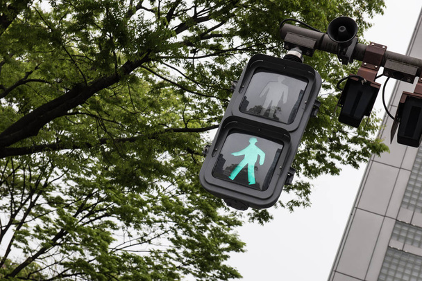 Green signal for walking - 写真・画像