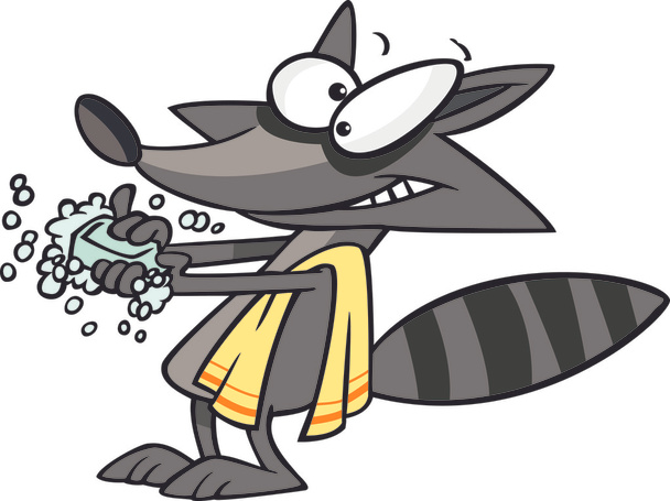 Cartoon Raccoon Washing - Vector, Image