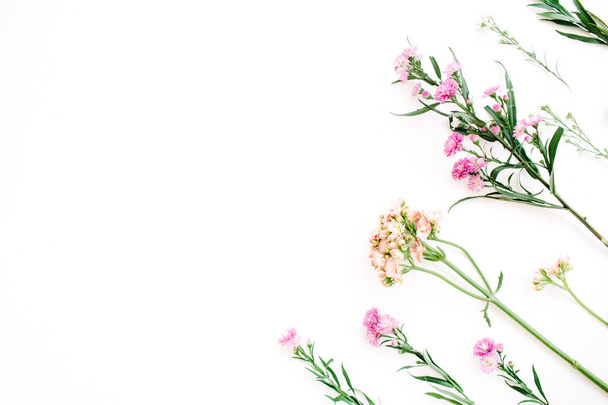rosa Wildblumen auf weißem Hintergrund - Foto, Bild