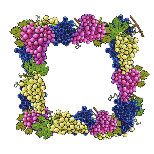 Square frame with bunches of white, green, purple grapes - Vektör, Görsel