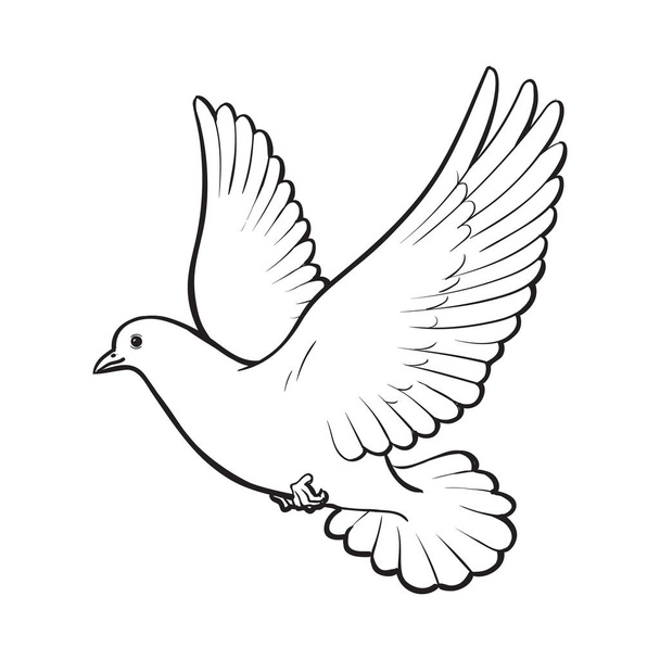 Free flying white dove, isolated sketch style illustration - Vettoriali, immagini