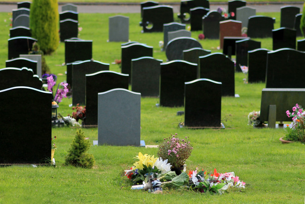 Flowers in cemetery - Photo, Image