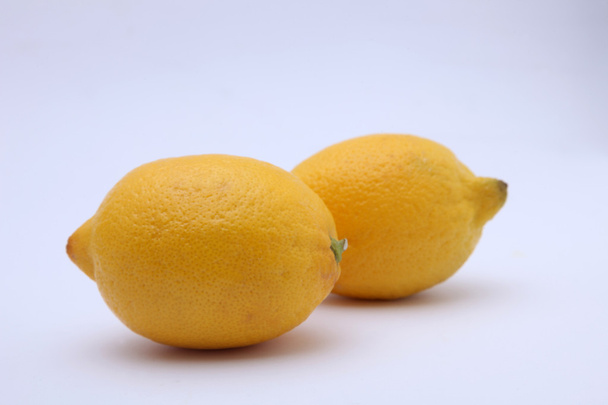 柑橘類: レモン - 写真・画像