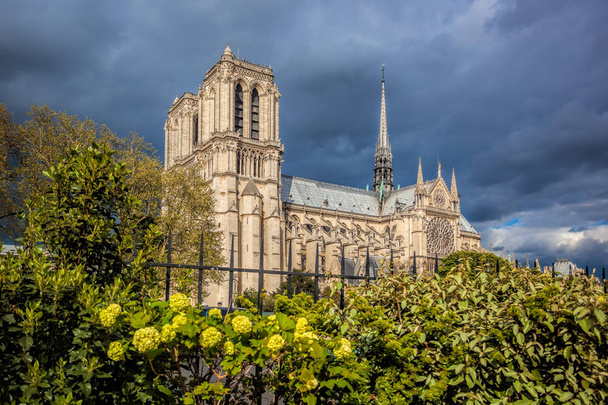 Notre Damen katedraali keväällä Pariisissa, Ranskassa
 - Valokuva, kuva