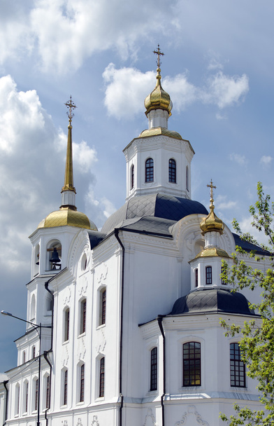 The Michael-Archangelical Harlampievsky temple Irkutsk - Фото, изображение