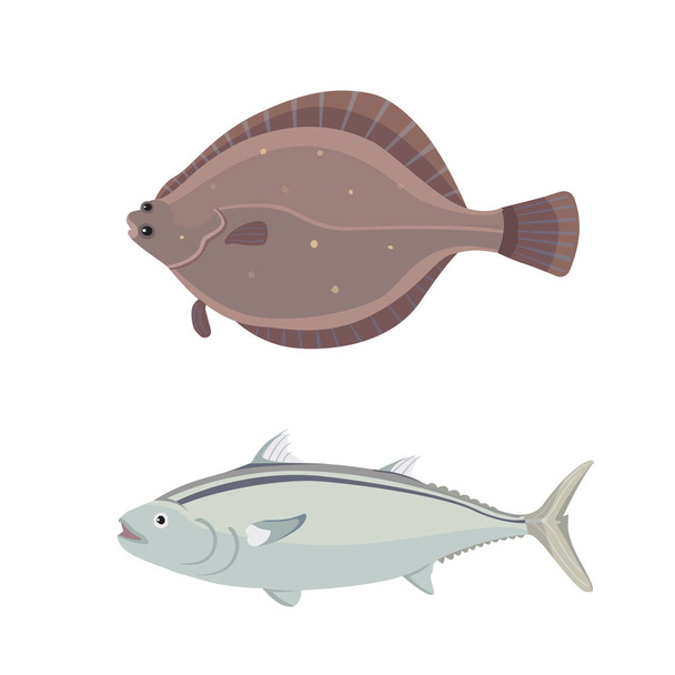 Isolated river fish. Set of freshwater sea cartoon fishes. Fauna ocean vector illustration - Vektör, Görsel
